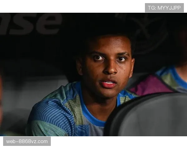 罗德里戈角色与体系适配性分析