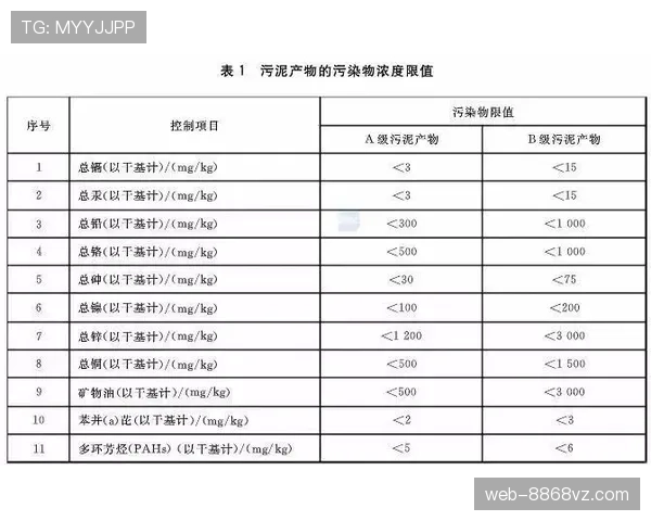红牌停赛规则详解及累计红牌后的处罚标准