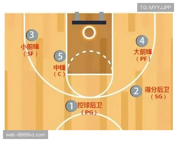 全面解读篮球边线发球规则中关于五秒违例与站位的具体规定